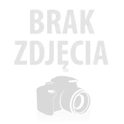Oczyszczacz powietrza Sharp FP-J30EU-A różowy